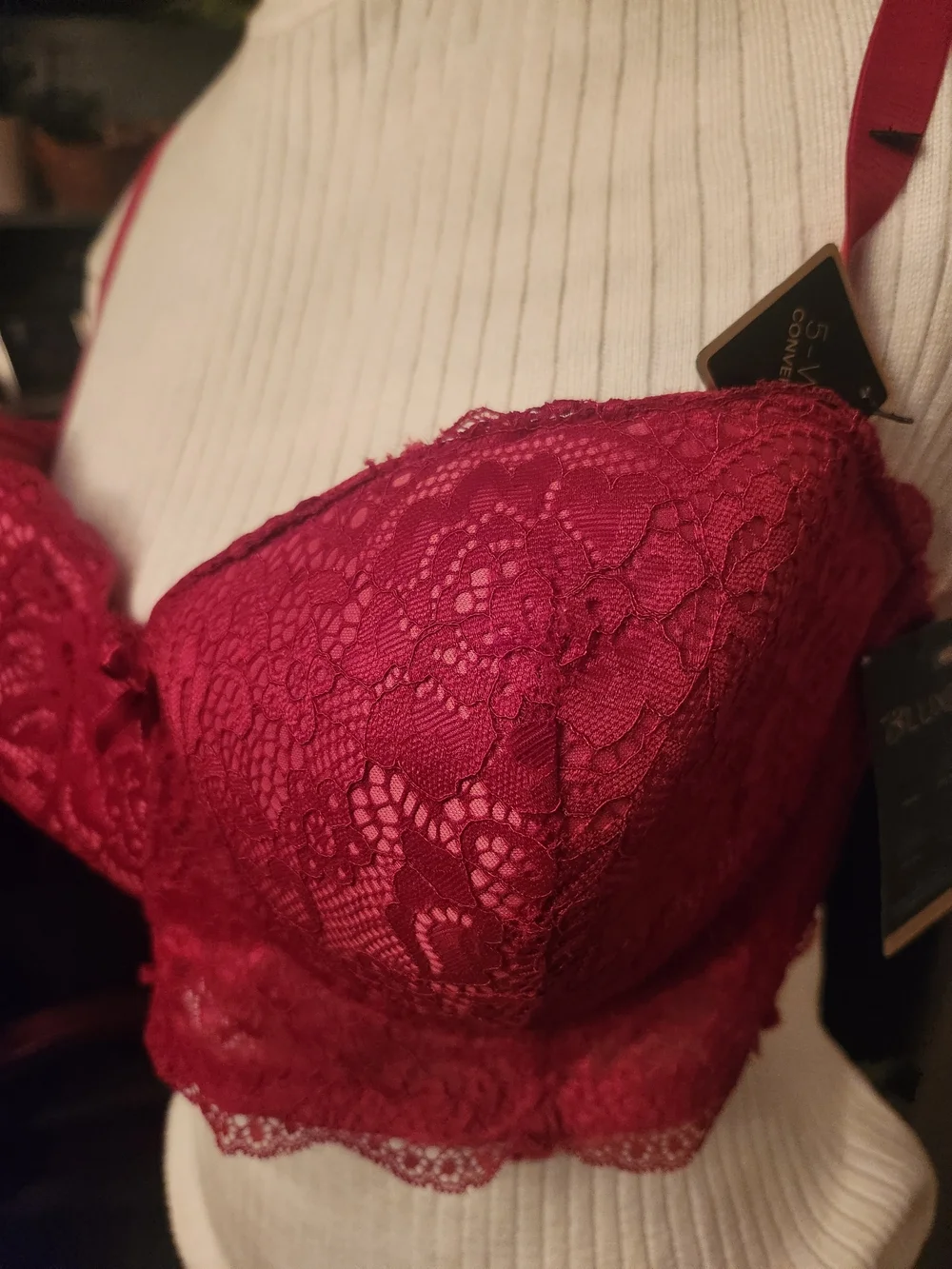 Red Lace Push-Up Bra With 5 Ways To Adjust Straps Women’s Intimates